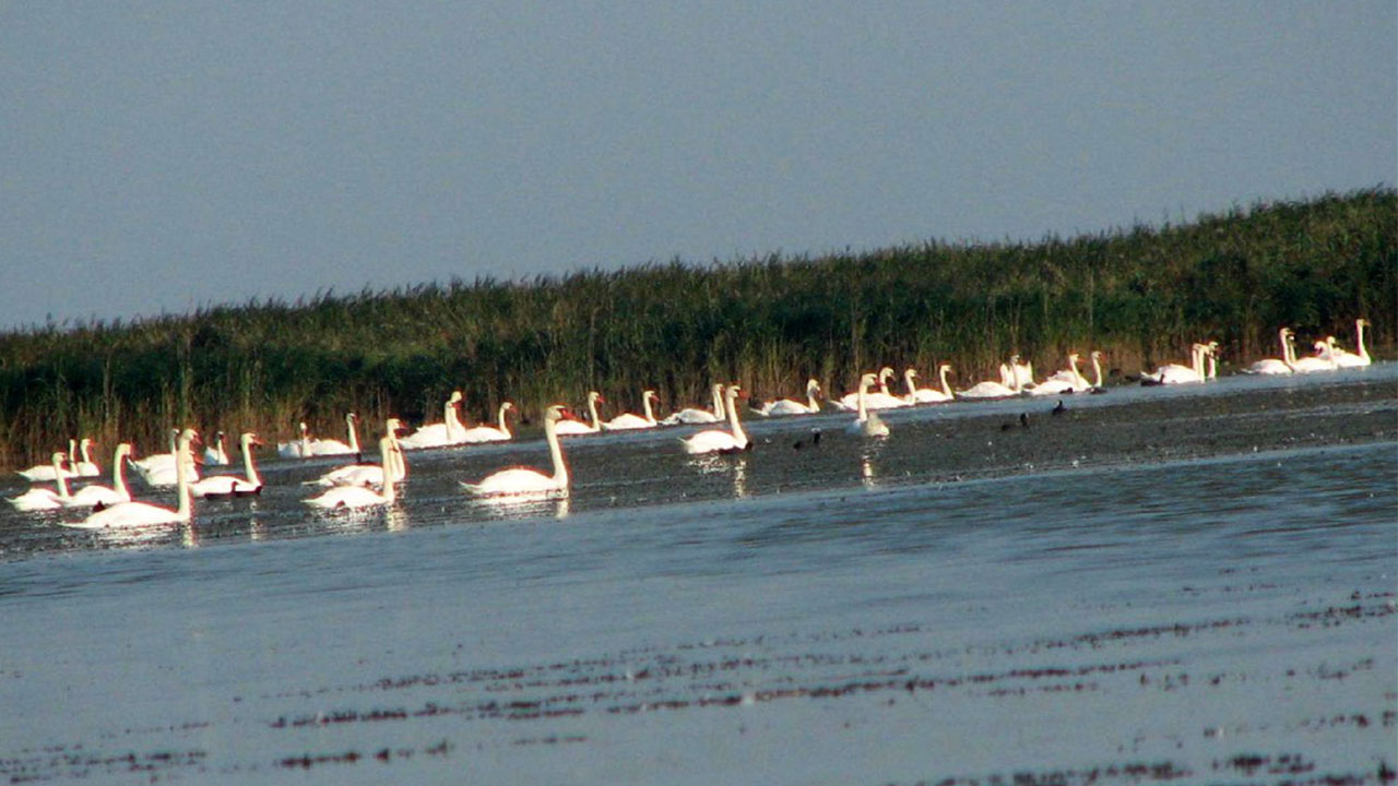 lacul-sinoe